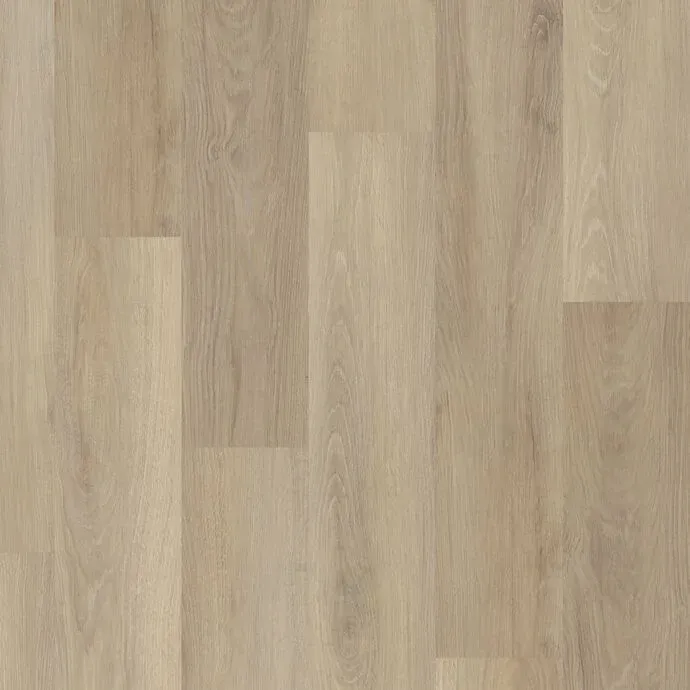 Long Beach Oak