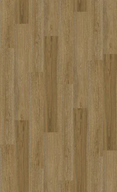 Spotted Gum