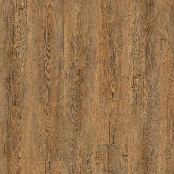 Wild Amber Oak