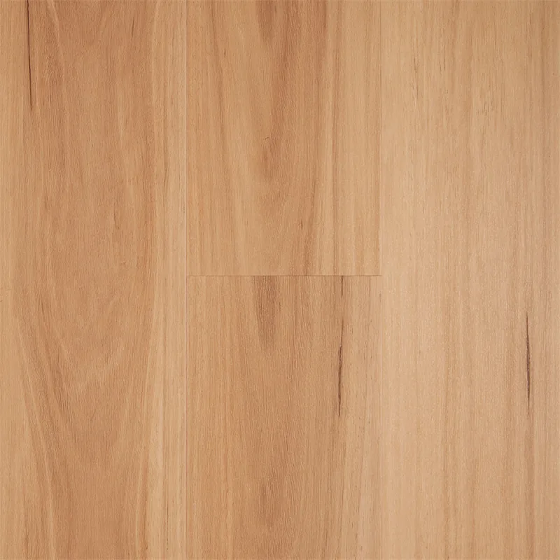 Northern Blackbutt