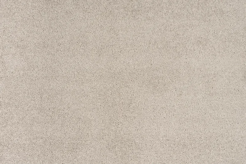 Porcini