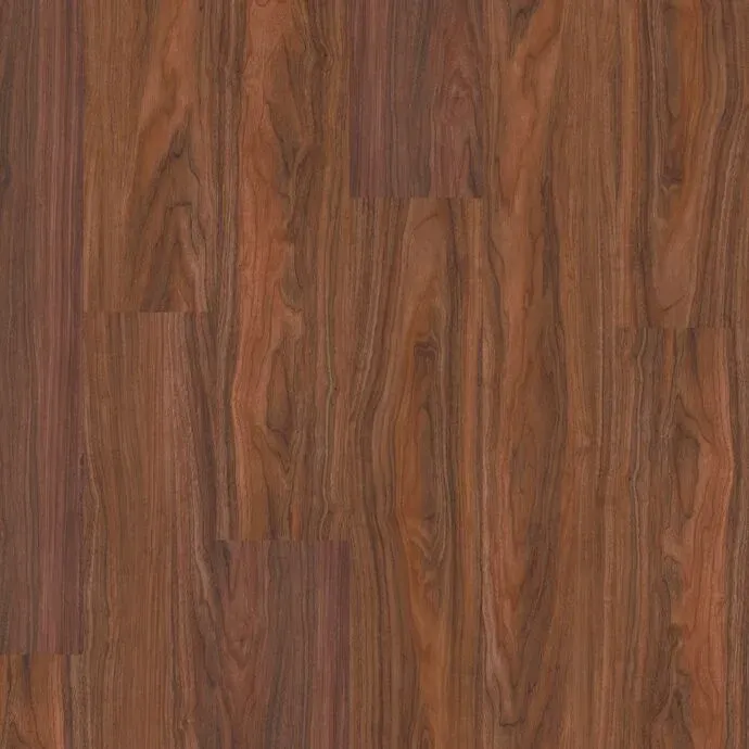 Tasmanian Myrtle