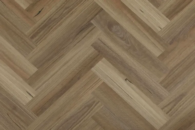 Spotted Gum