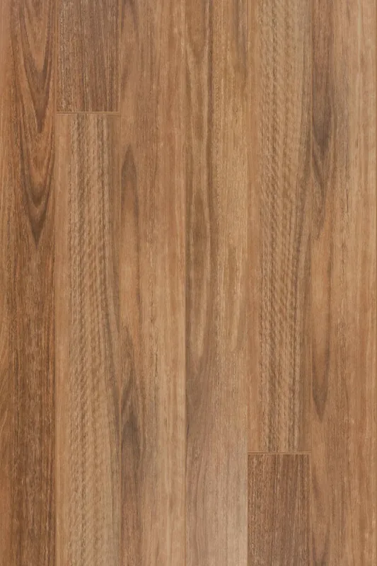 Queensland Spotted Gum