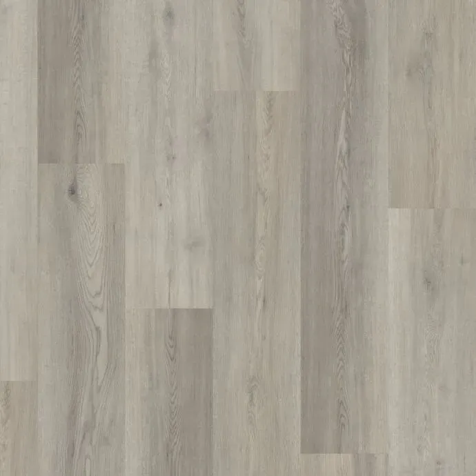 Oyster Birch