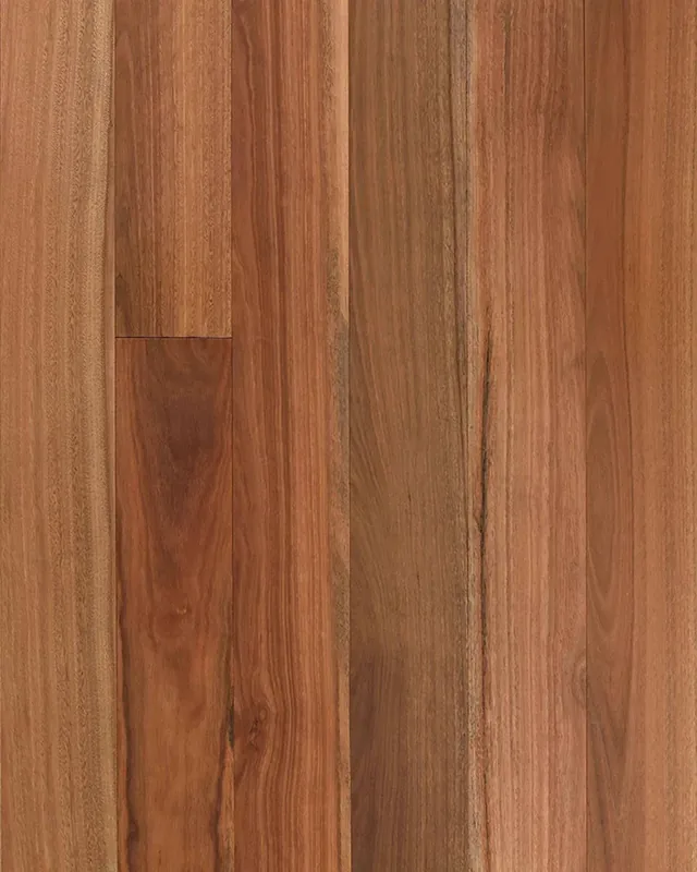 Spotted Gum