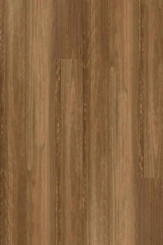 NSW Spotted Gum