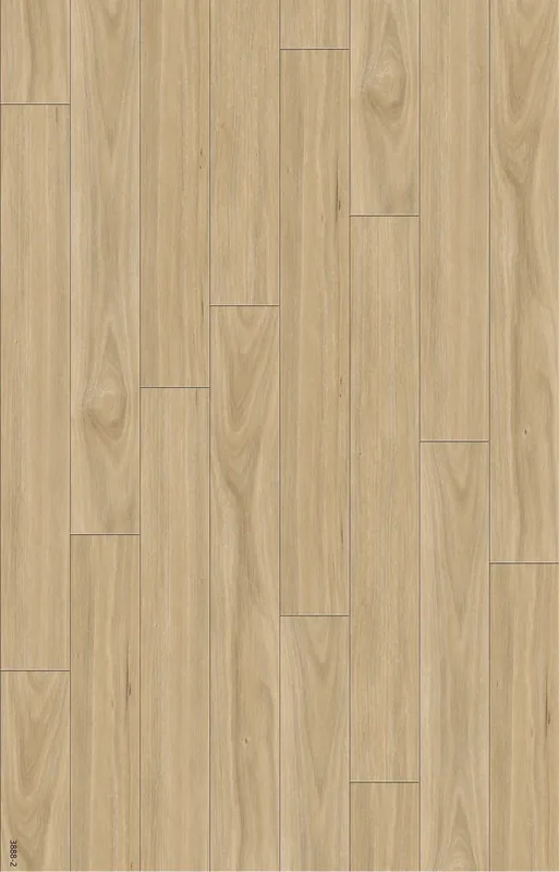Twilight Tasmanian Oak