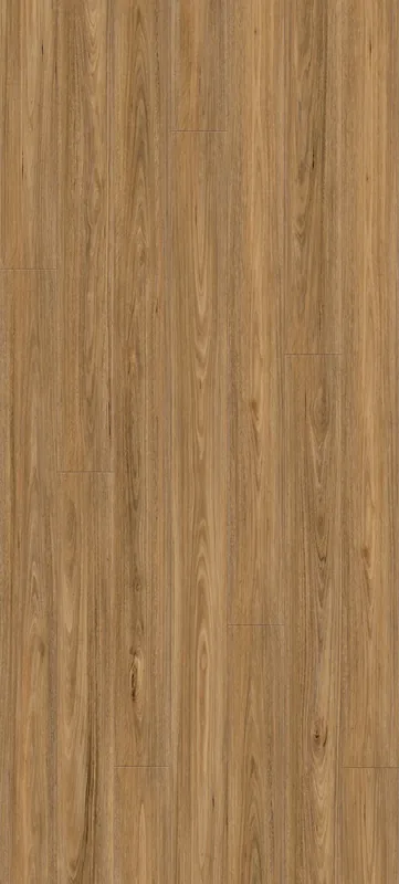 Spotted Gum