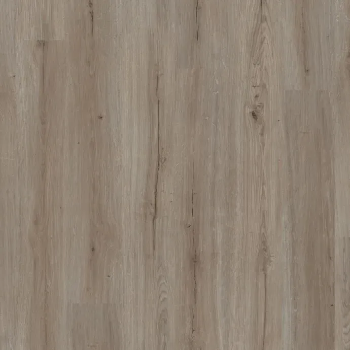 Grey Elm