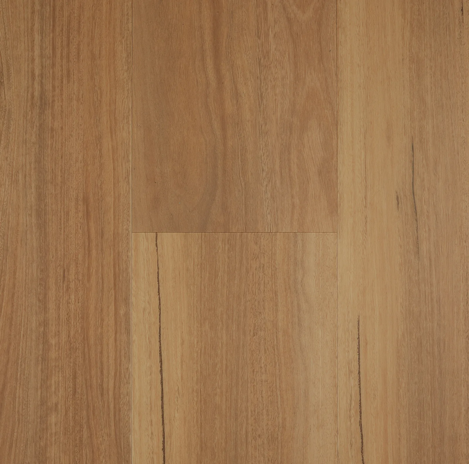 Ultimo Coastal Spotted Gum flooring, image 2
