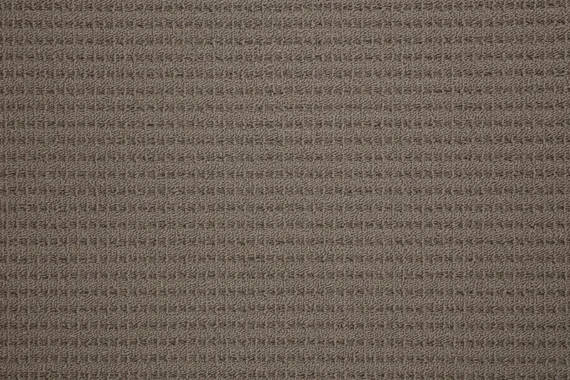 Desert Brown