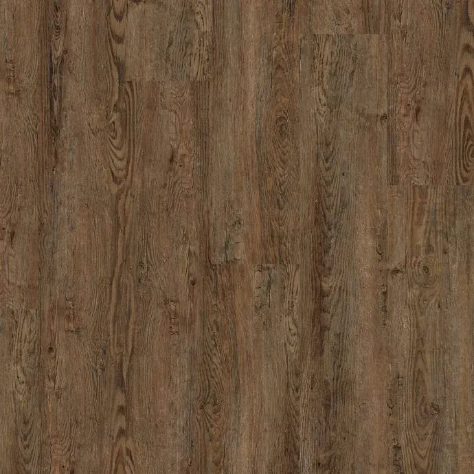 Huckleberry Oak