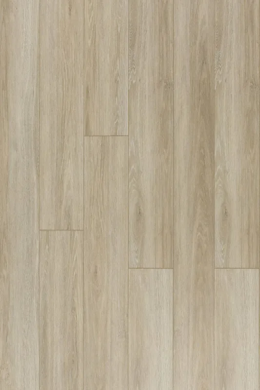 Royal White Oak