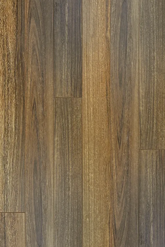QLD Spotted Gum