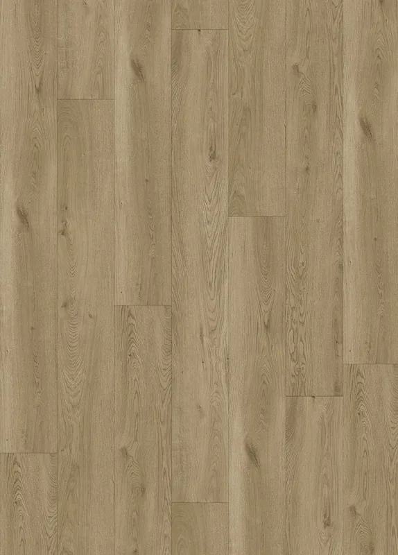 Tobacco Oak