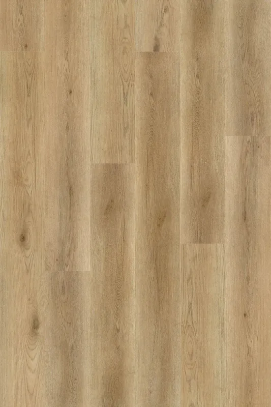 Oxford Oak
