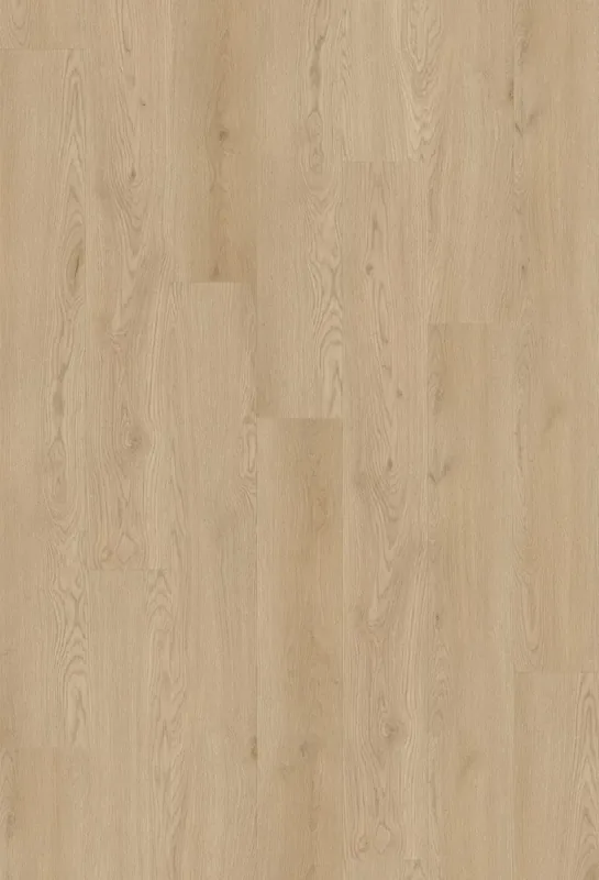 Jamieson Oak