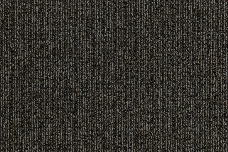 Meteorite