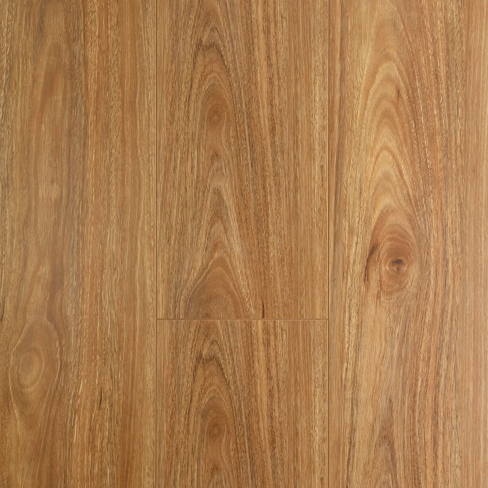 Oakleaf Spotted Gum flooring, image 2