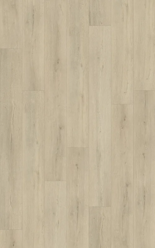 Sun Bleached Oak