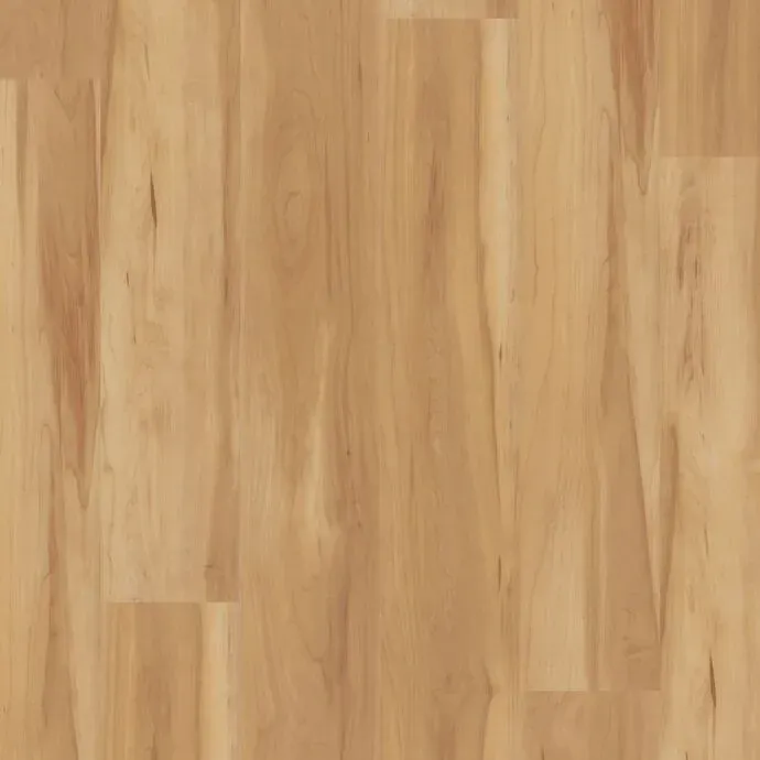 Plied Birch