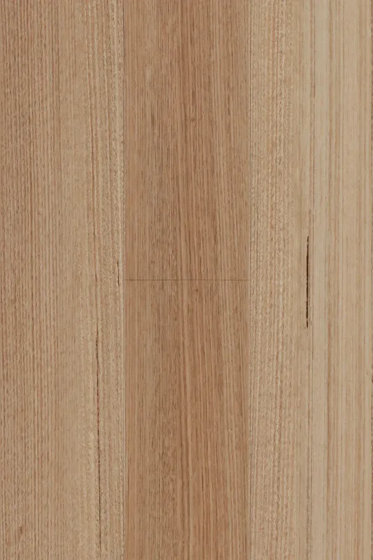Tasmanian Oak