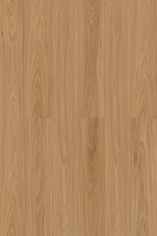 Raw Blackbutt