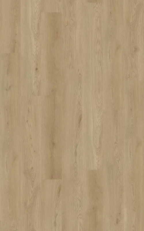 Century Oak