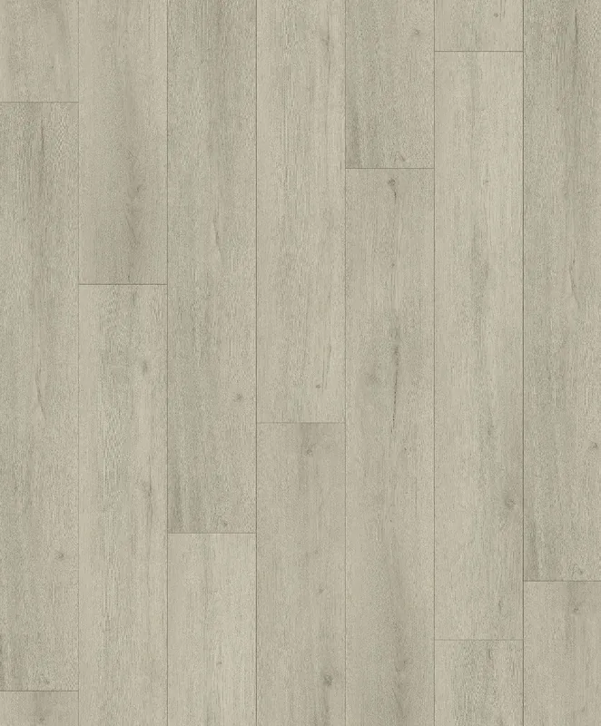 Stirling Oak