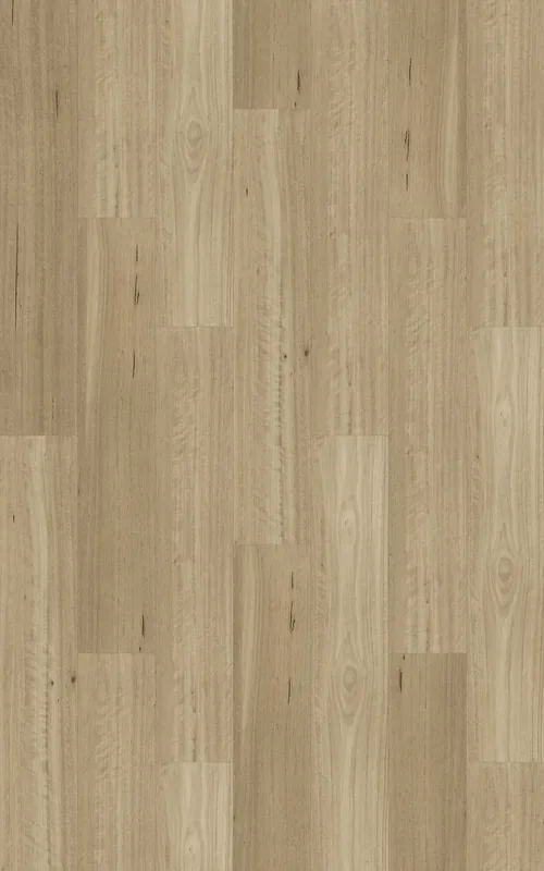 Somerset Blackbutt