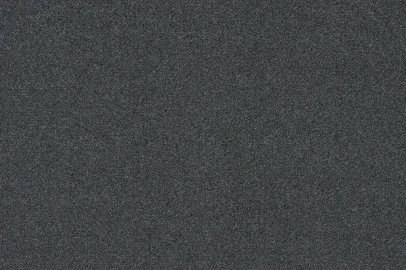 Griffin