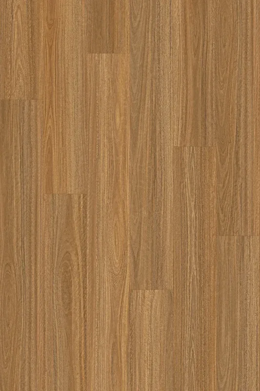 Spotted Gum