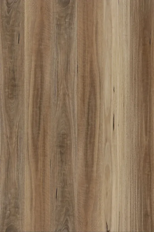 Spotted Gum