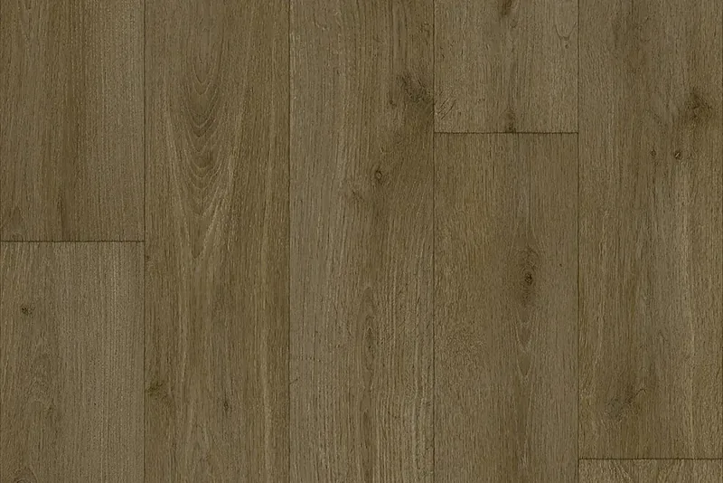 Forest Oak