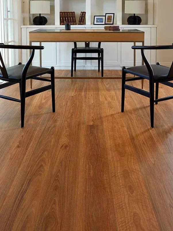 Spotted Gum