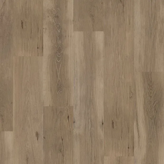 Tamarin Oak