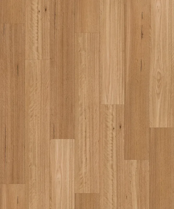 Sanded Blackbutt