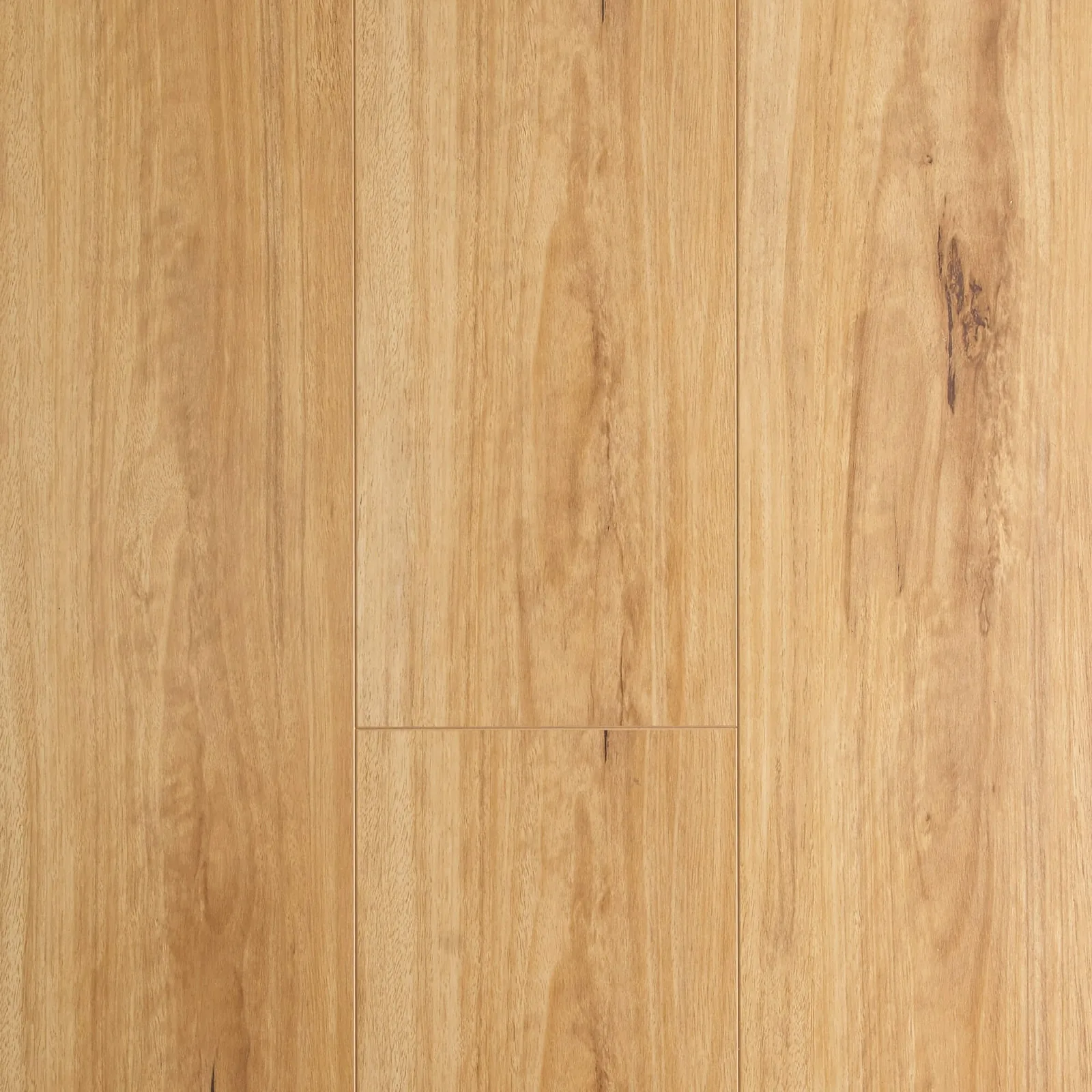 Oakleaf Blackbutt flooring, image 2