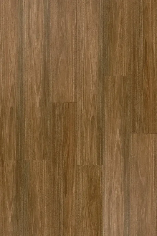 Spotted Gum