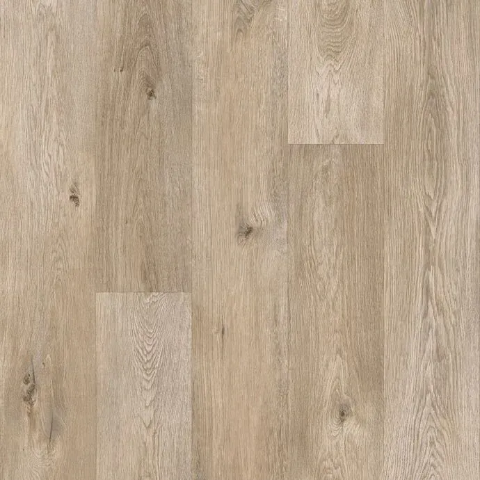 Ridge Oak