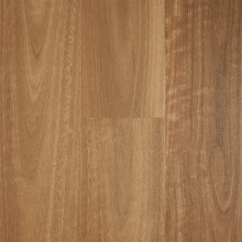 Natural Spotted Gum