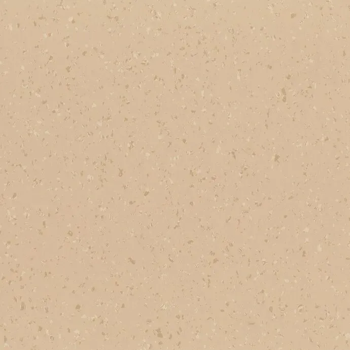 Foundation