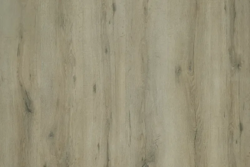 Warringal Oak