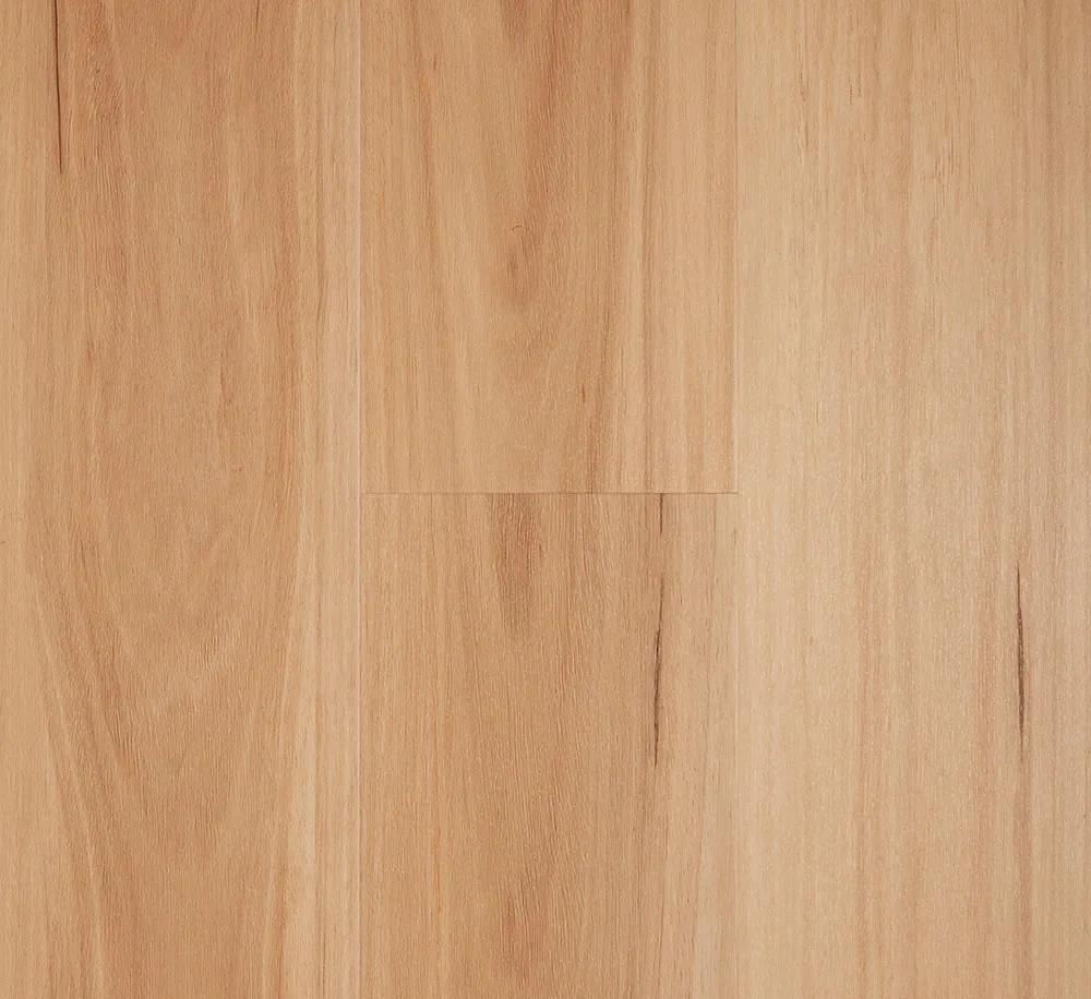 Ultimo Blackbutt flooring, image 2