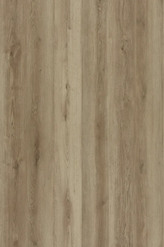 Sherwood Oak