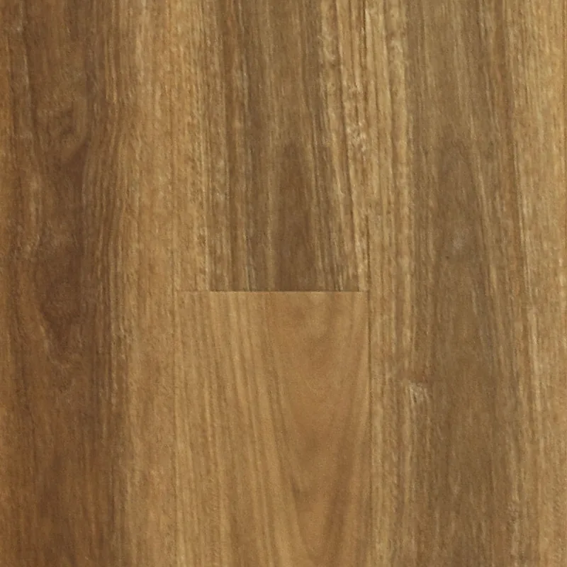 Spotted Gum