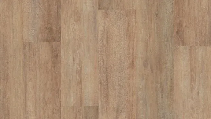 Grey Gum