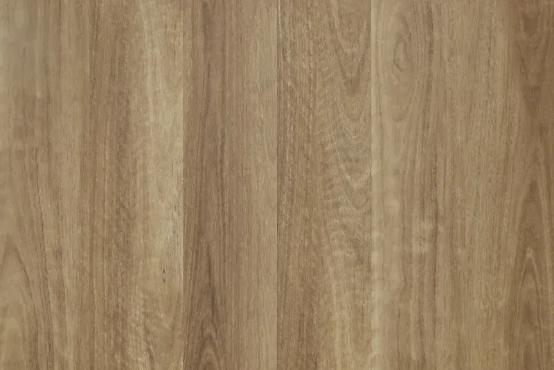 Yarra Spotted Gum