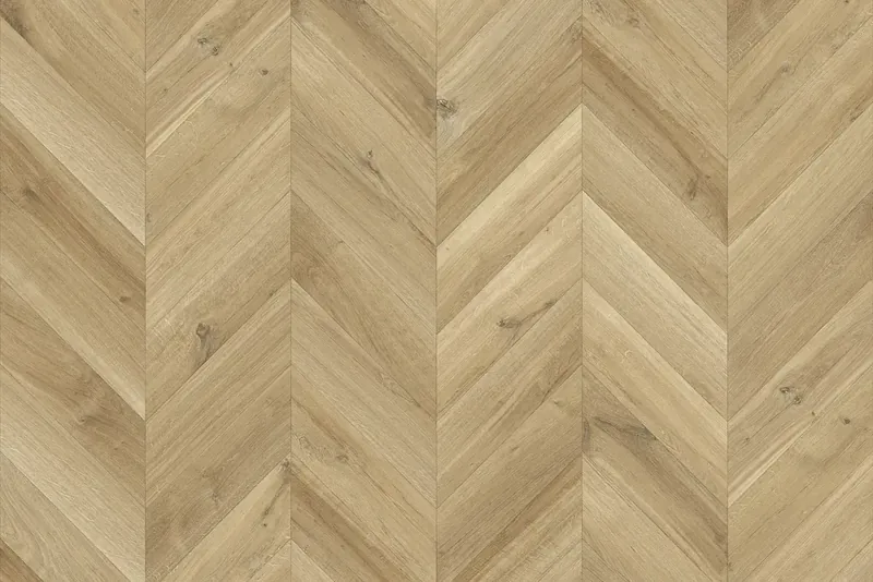 Braga Oak 623L